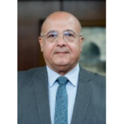 Mr. Sherif Ibrahim Sayed Ashour